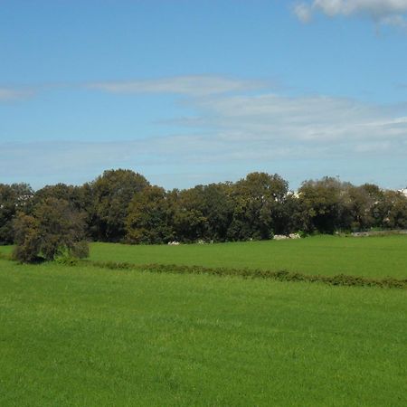 Masseria Gattamora Uggiano La Chiesa Bagian luar foto